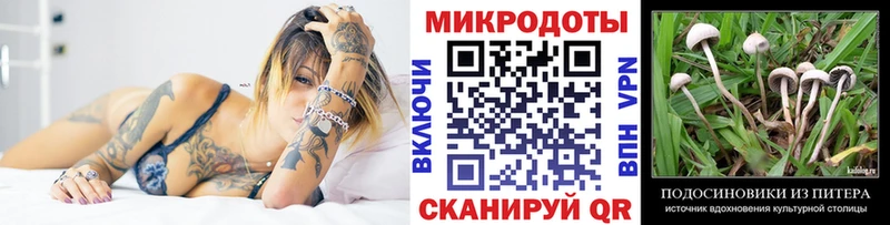 гидра ТОР  Камбарка  Галлюциногенные грибы Cubensis  купить наркоту 
